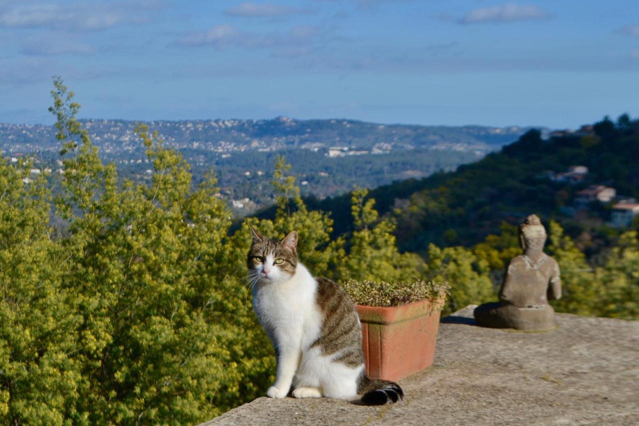 Amoureux Du Calme Et De La Nature Tanneron Exterior photo